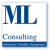 Logo ML consulting